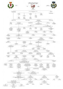Libro di famiglia, versione elegante, particolare interno dell'albero di famiglila.