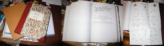 immagine raffigurante il volume della famiglia Grazzini